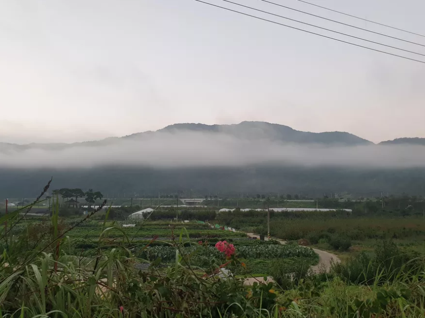 스크린샷 2020-03-25 오후 4.30.58.png