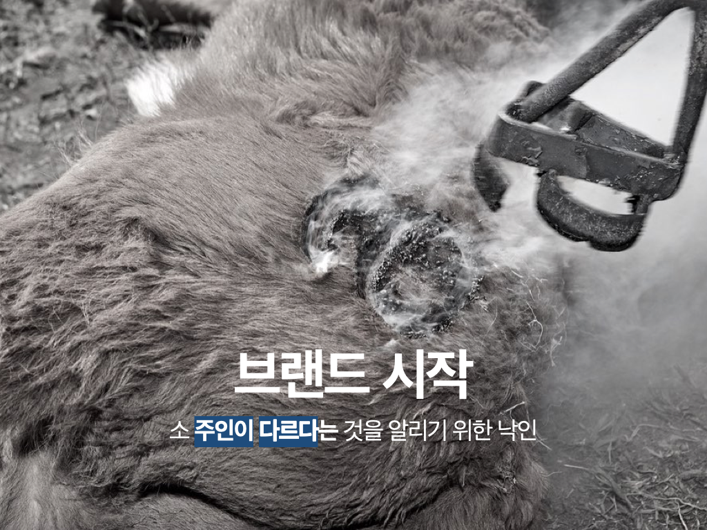 브랜드 시작.001.png