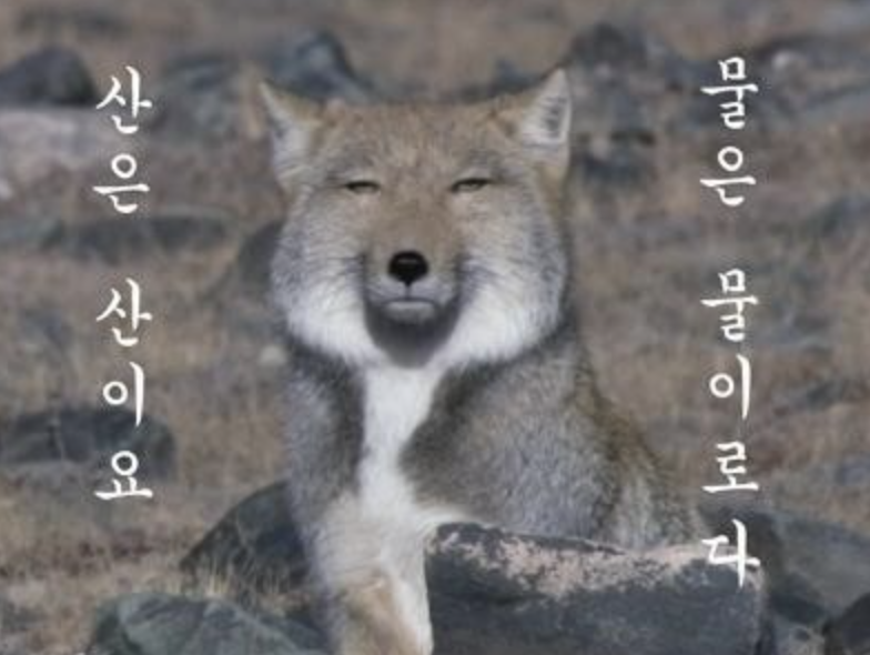 스크린샷 2023-06-19 오후 3.53.31.png