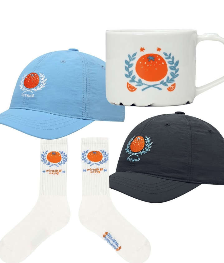 스크린샷 2024-10-20 12.04.42.png