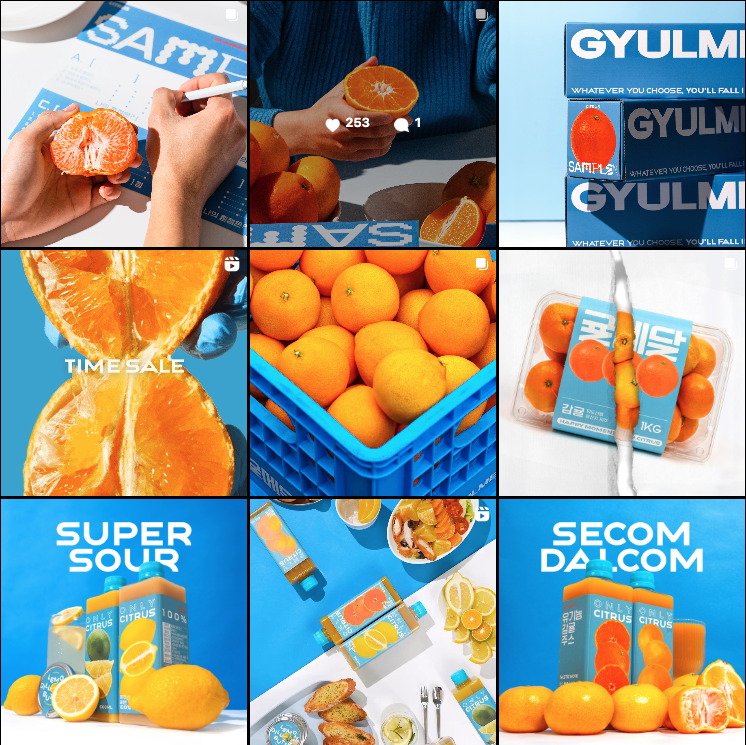 스크린샷 2024-10-20 19.56.26.png