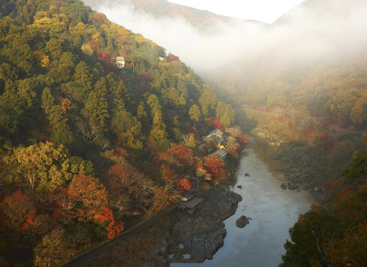 스크린샷 2025-09-16 오전 3.01.00.png