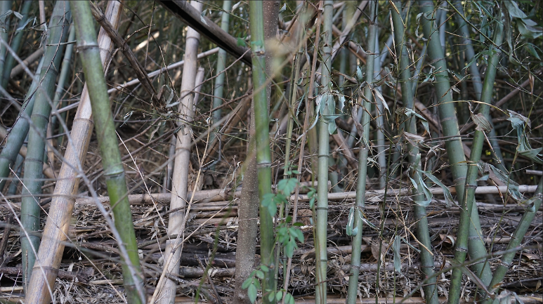 스크린샷 2025-02-28 164917.png