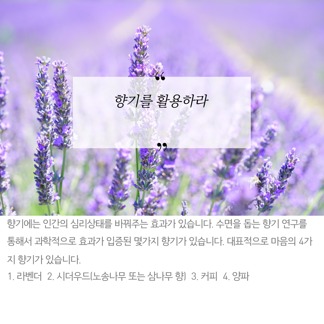 적게자도괜찮습니다-7.png