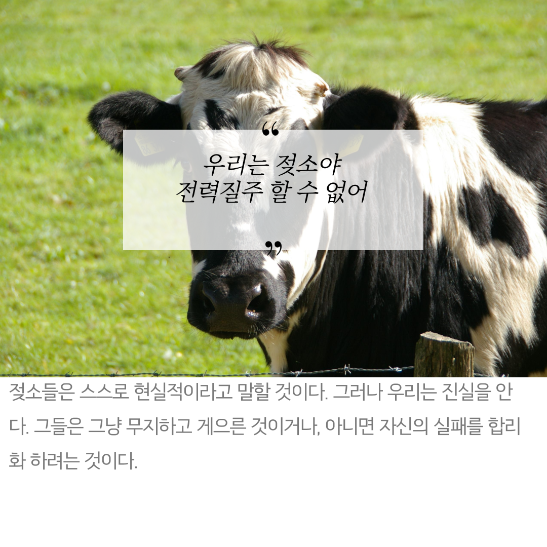 무소의뿔처럼당당하게나아가라-5.png