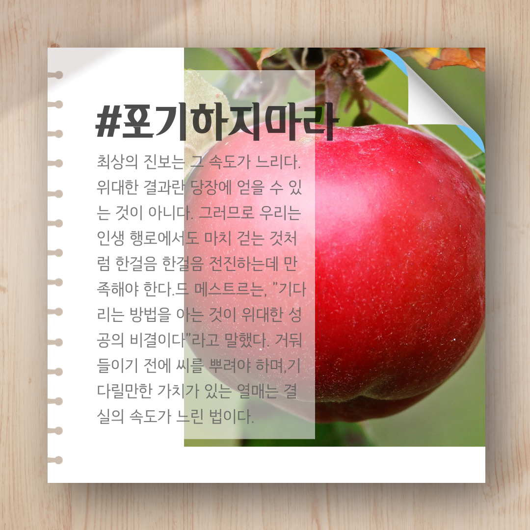 자조론-8.png