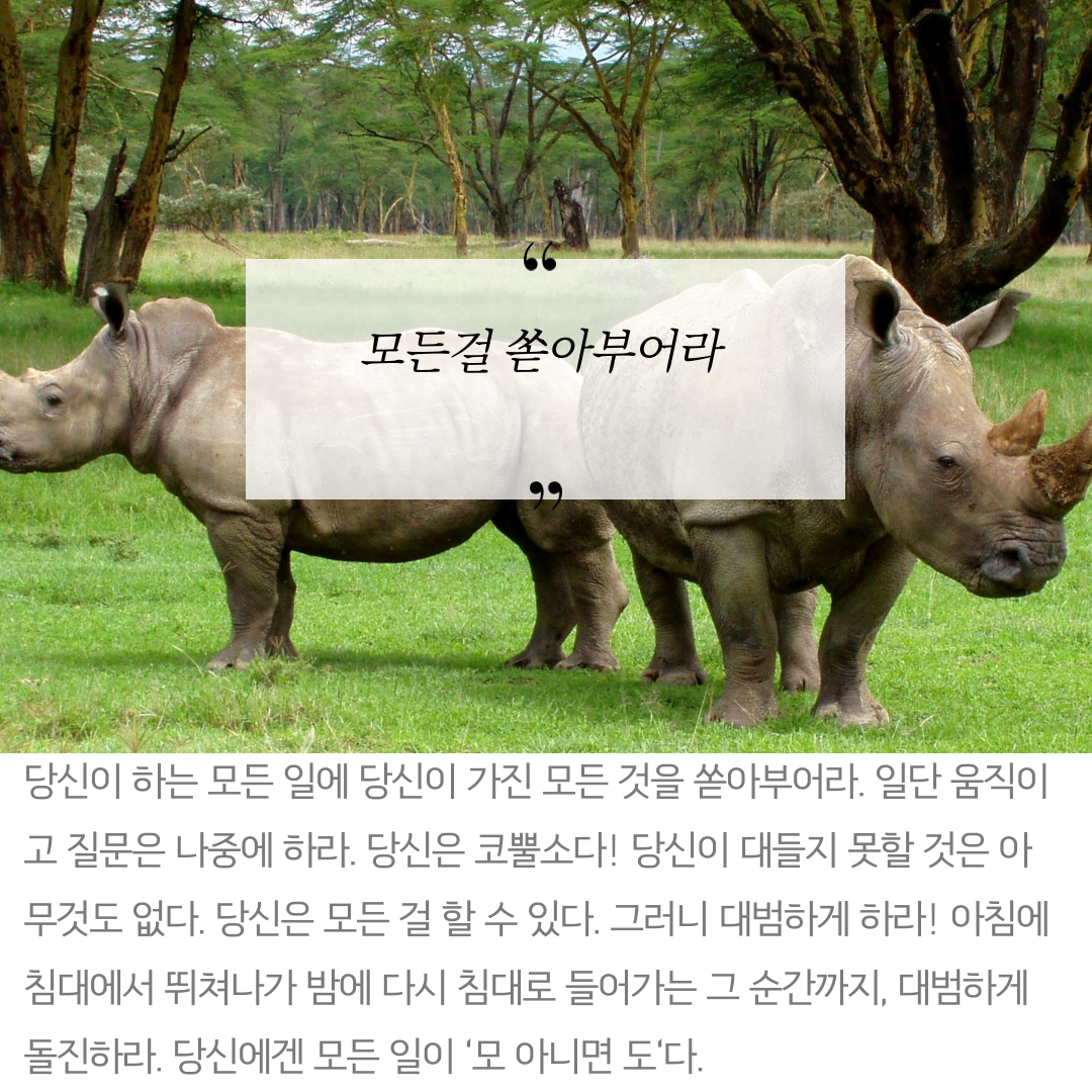 무소의뿔처럼당당하게나아가라-3.png