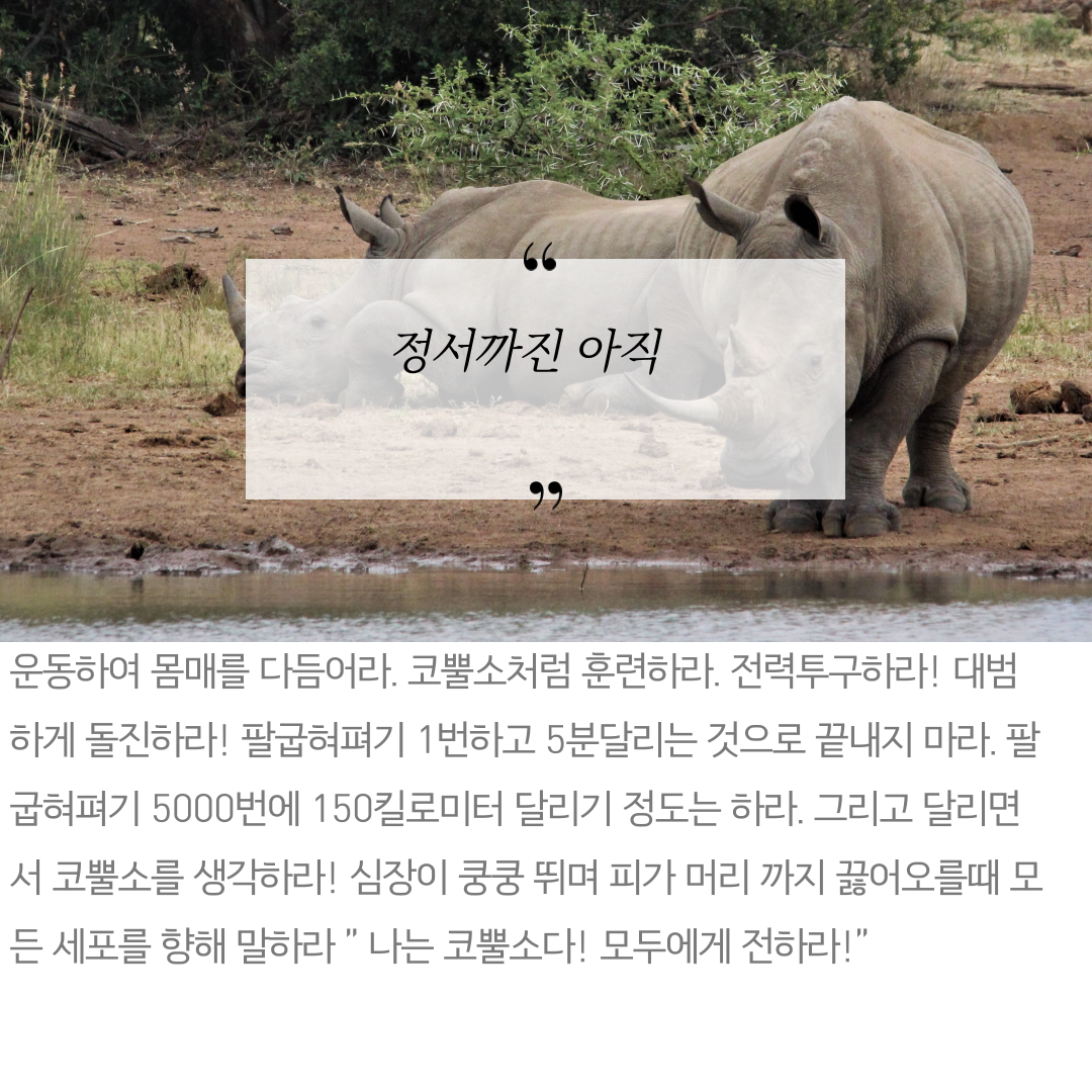 무소의뿔처럼당당하게나아가라-9.png