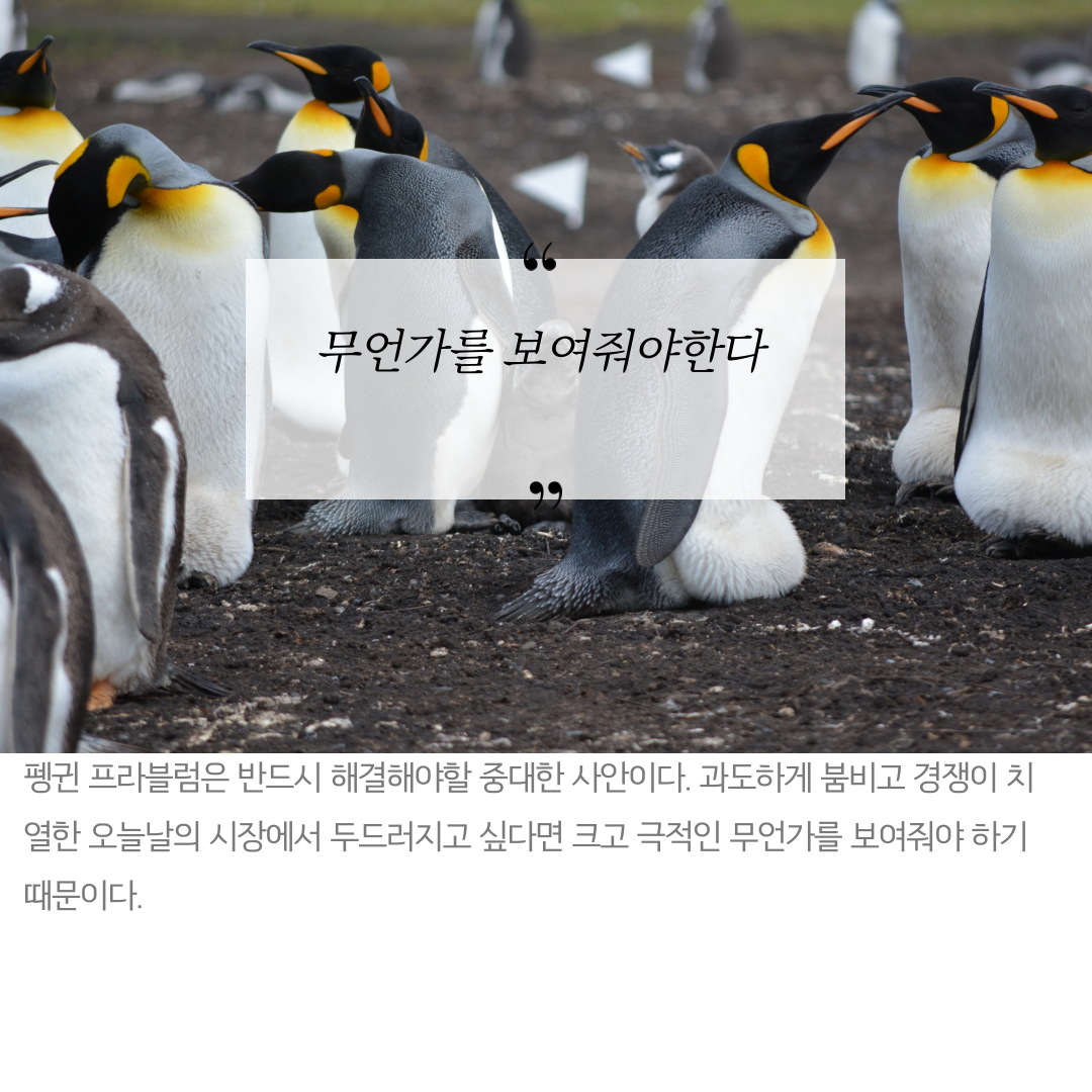 핑크펭귄-3.png
