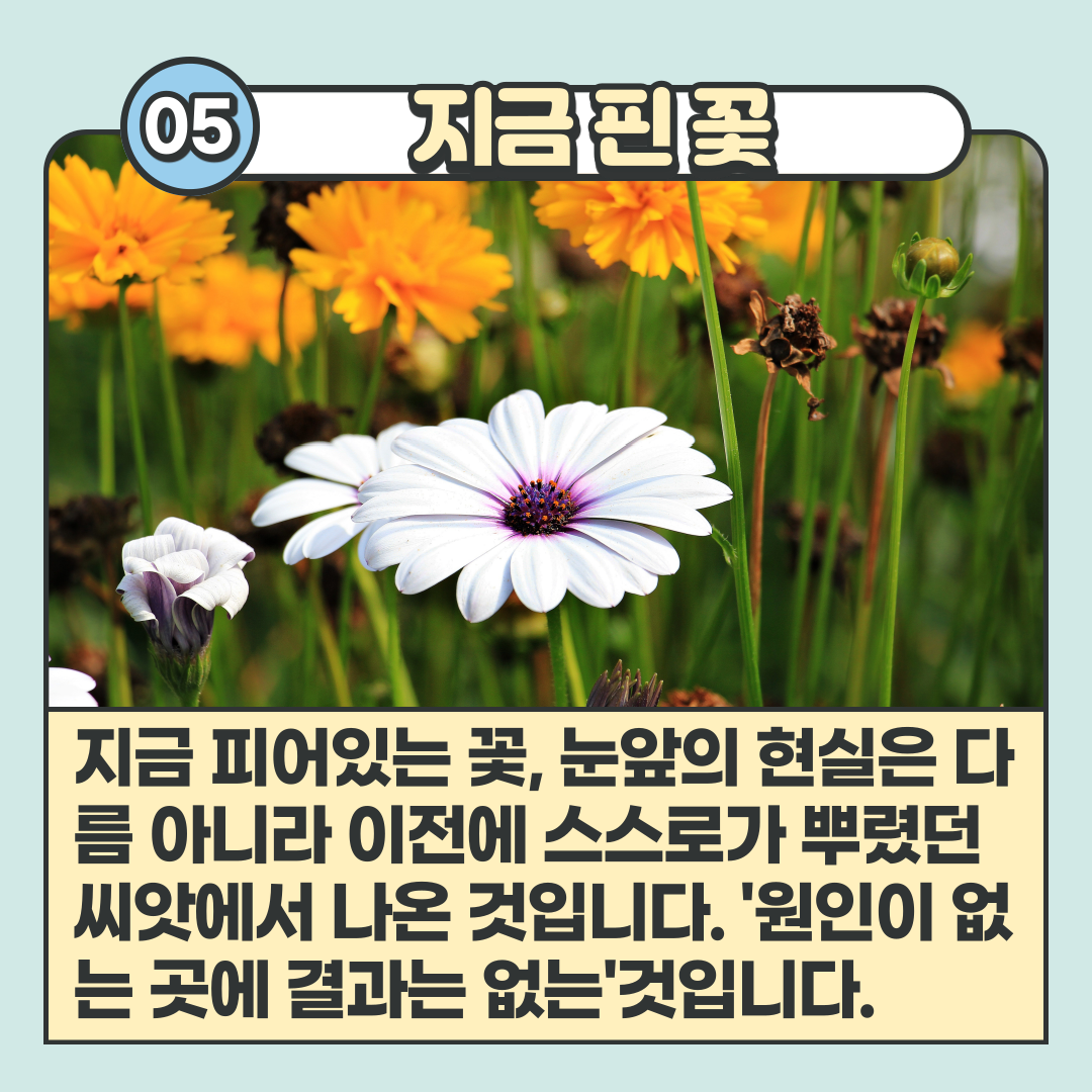 배움을돈으로바꾸는기술_06.png