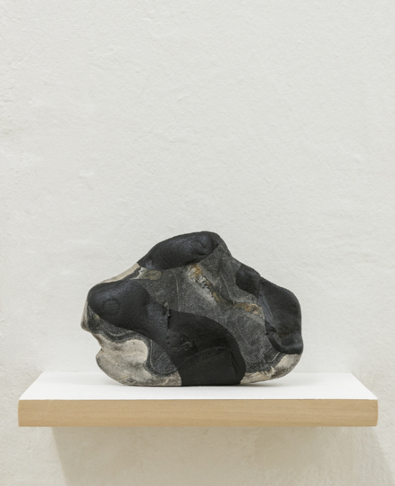 진달래박우혁 (3).png