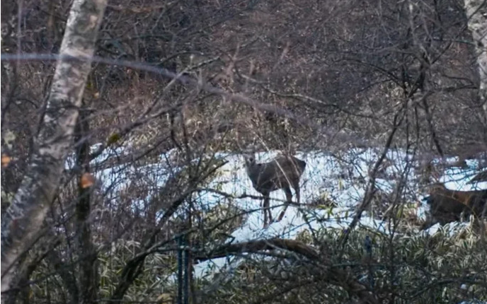 스크린샷 2023-10-18 11514912.png