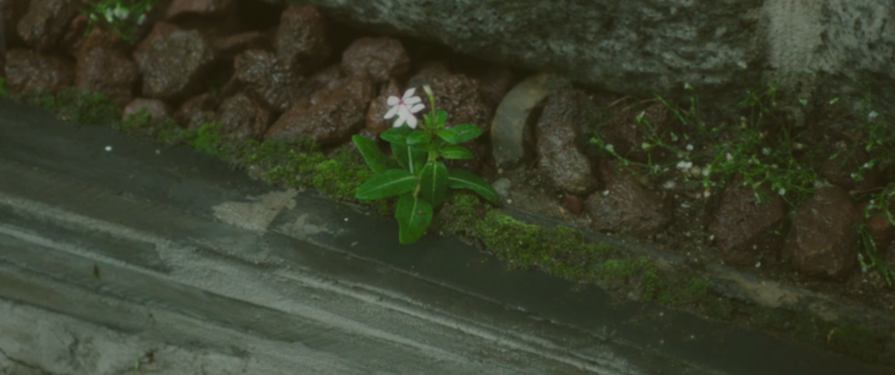 영화 막핀꽃.png