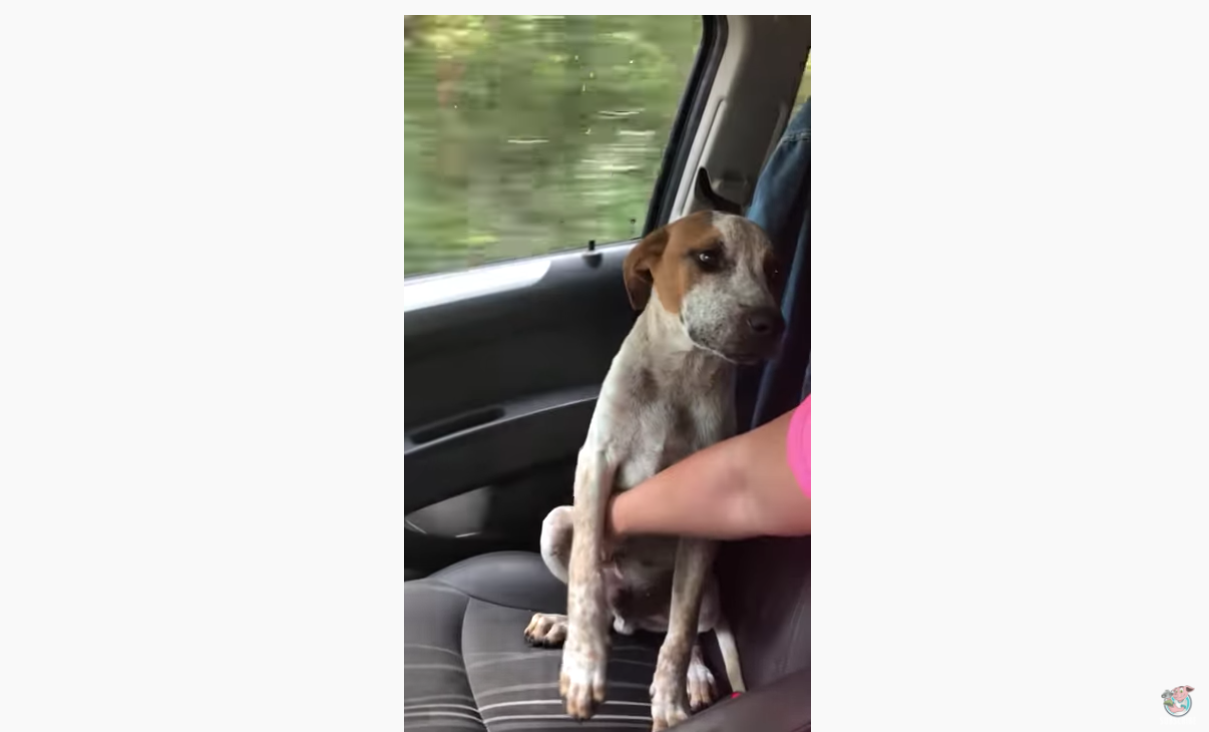 스크린샷 2020-11-25 오후 9.42.49.png