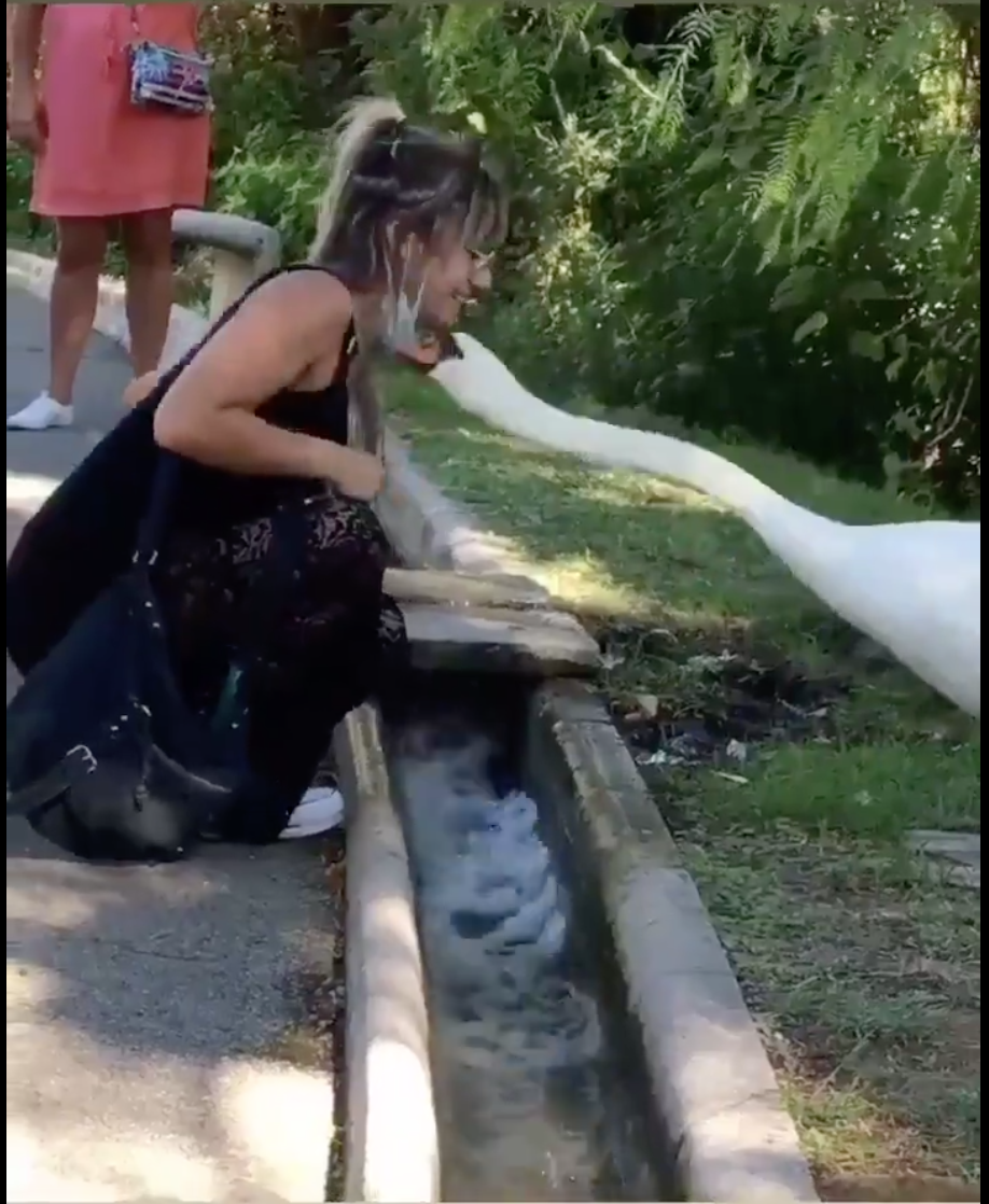 스크린샷 2020-09-21 오후 3.18.04.png