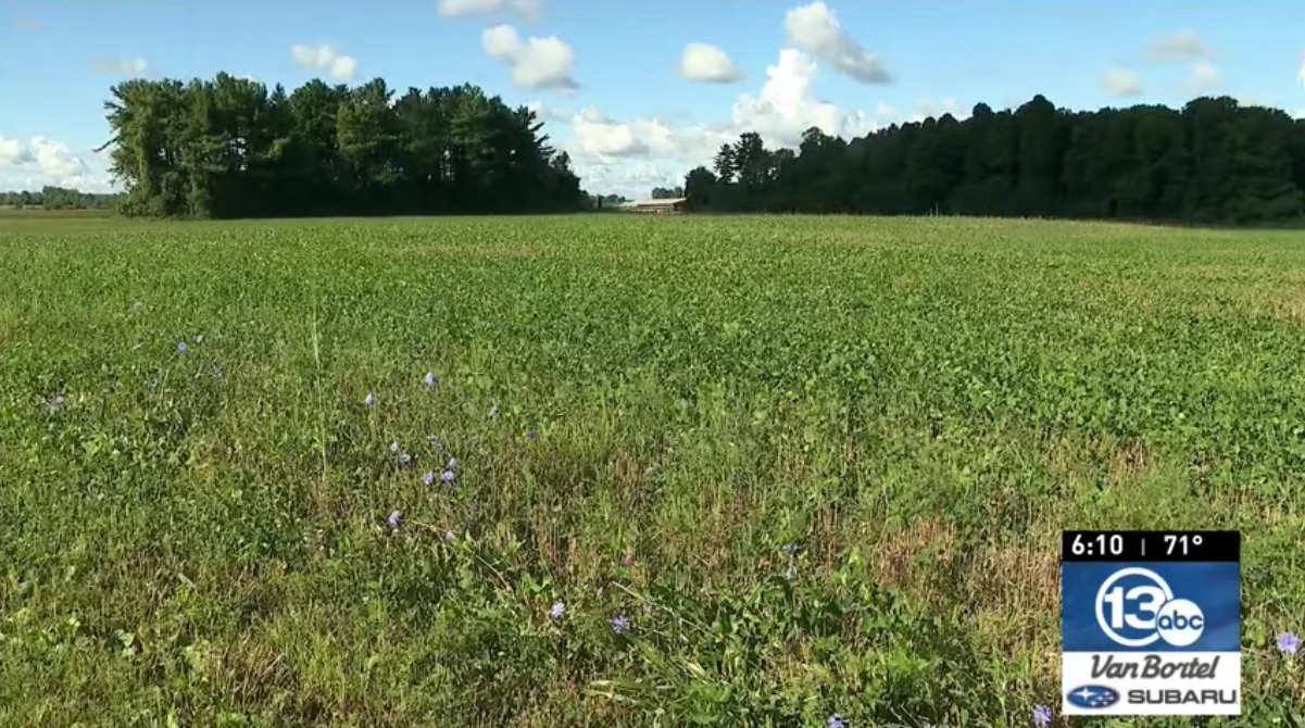 스크린샷 2020-08-31 오후 7.04.15.png