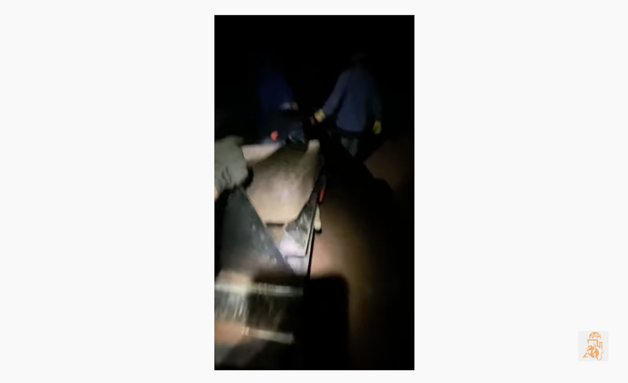 스크린샷 2020-12-04 오후 4.47.27.png