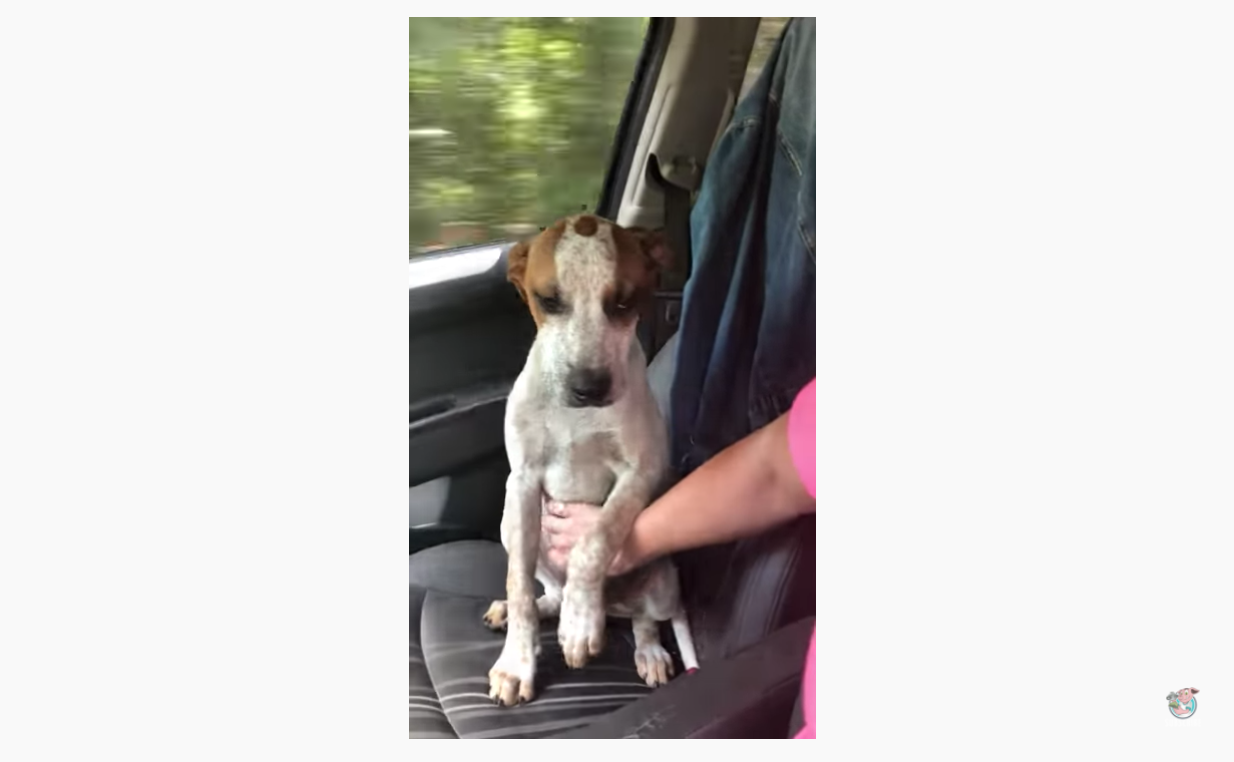 스크린샷 2020-11-25 오후 9.42.58.png