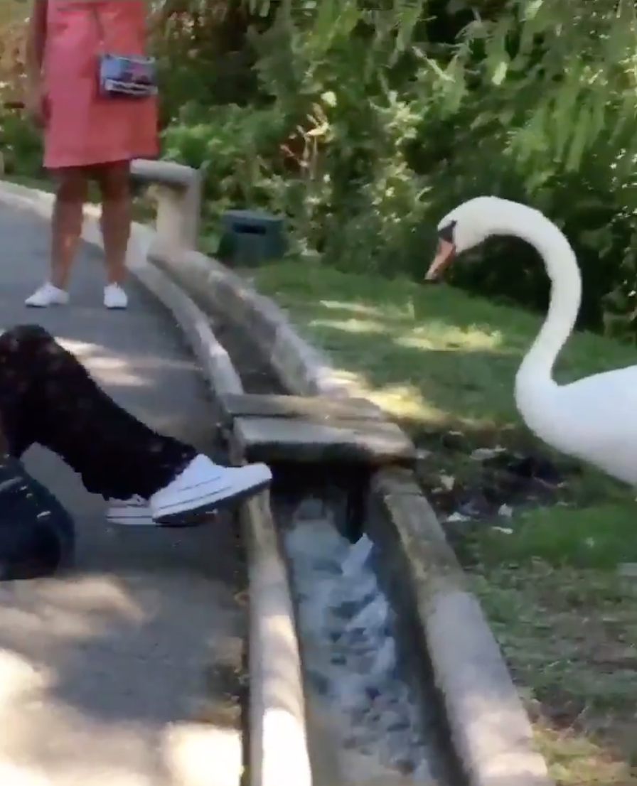 스크린샷 2020-09-21 오후 3.18.39.png