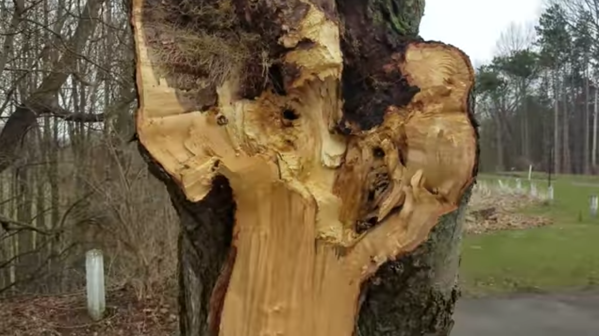 스크린샷 2020-05-22 오후 1.54.33.png