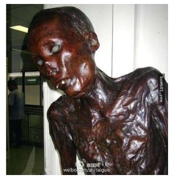 스크린샷 2020-07-07 오후 1.53.30.png