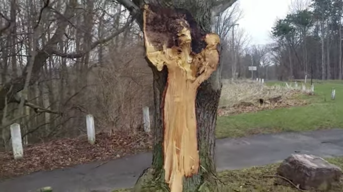 스크린샷 2020-05-22 오후 1.54.38.png