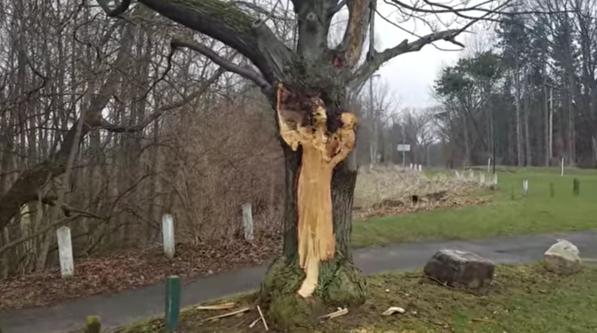 스크린샷 2020-05-22 오후 1.54.53.png