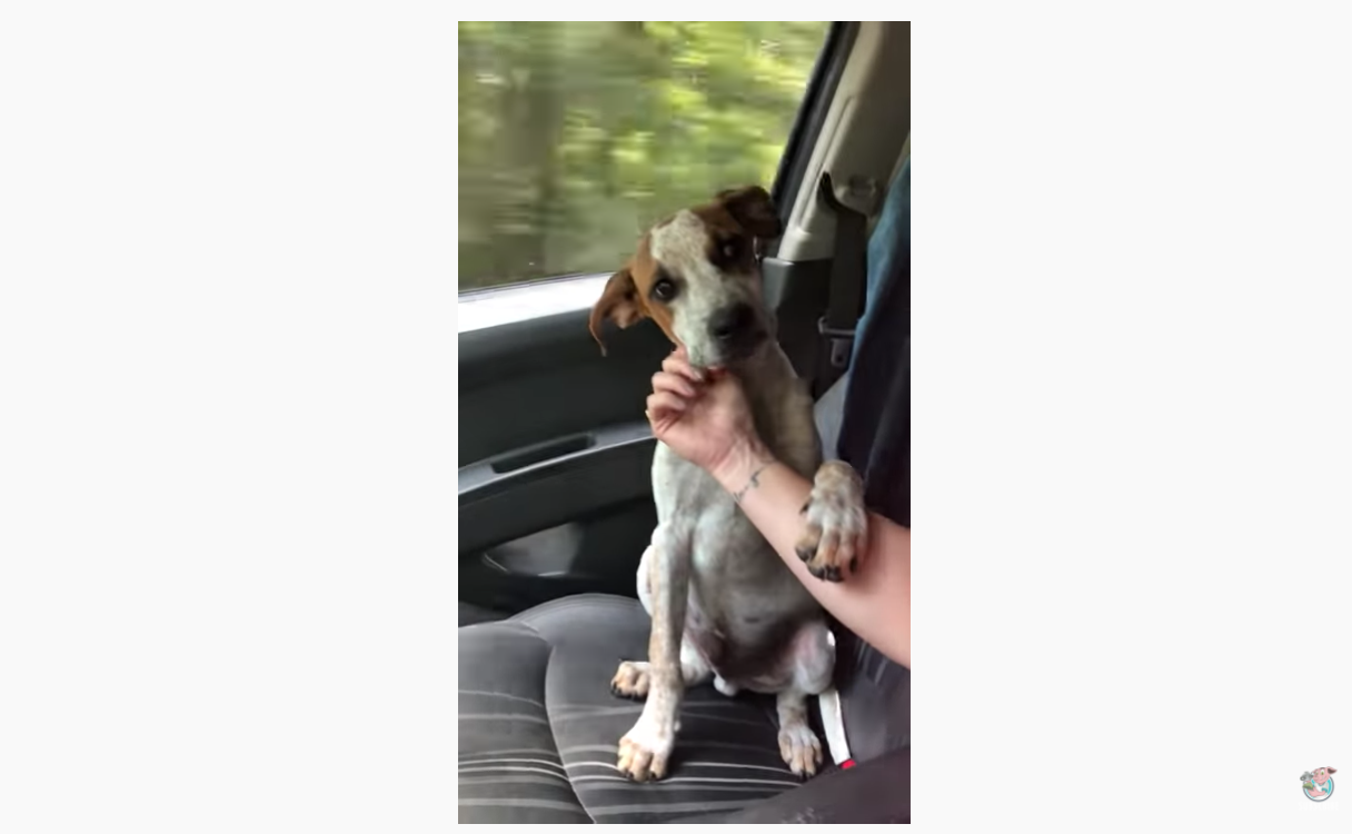 스크린샷 2020-11-25 오후 9.43.06.png