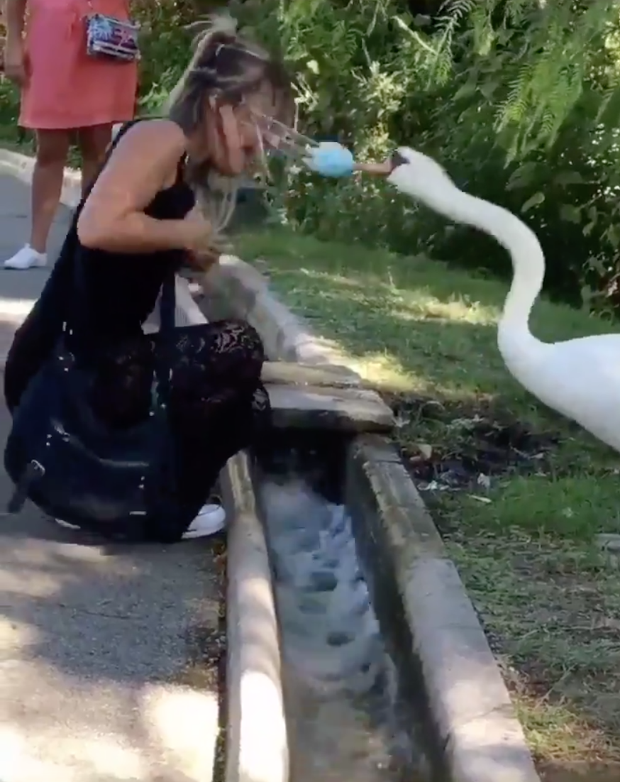 스크린샷 2020-09-21 오후 3.18.26.png