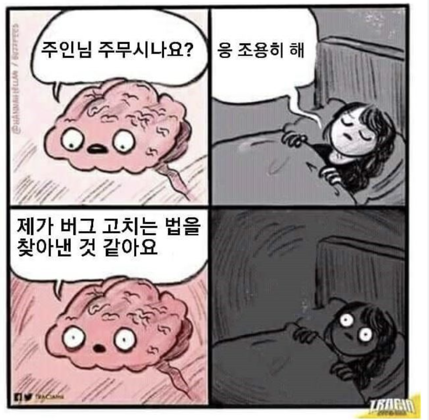 개발자.png