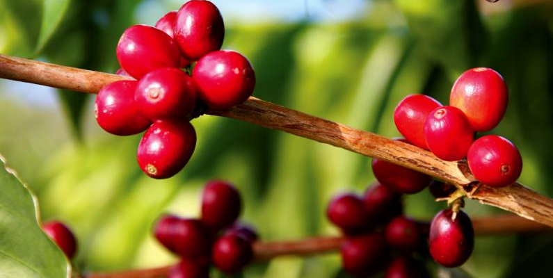 다운로드 (1).png