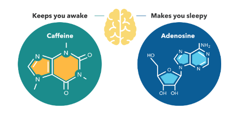 스크린샷 2020-11-04 오후 7.07.52.png