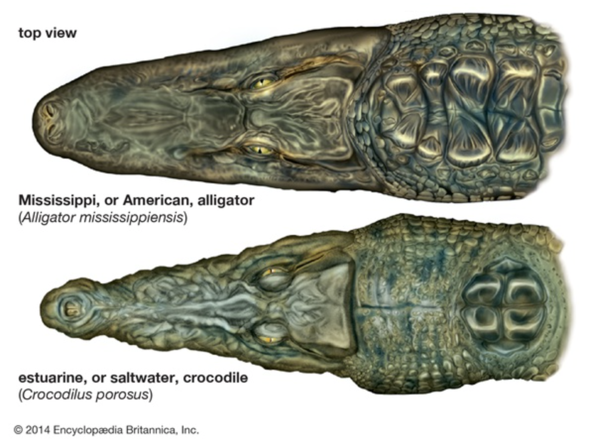 스크린샷 2020-12-02 오후 12.38.04.png