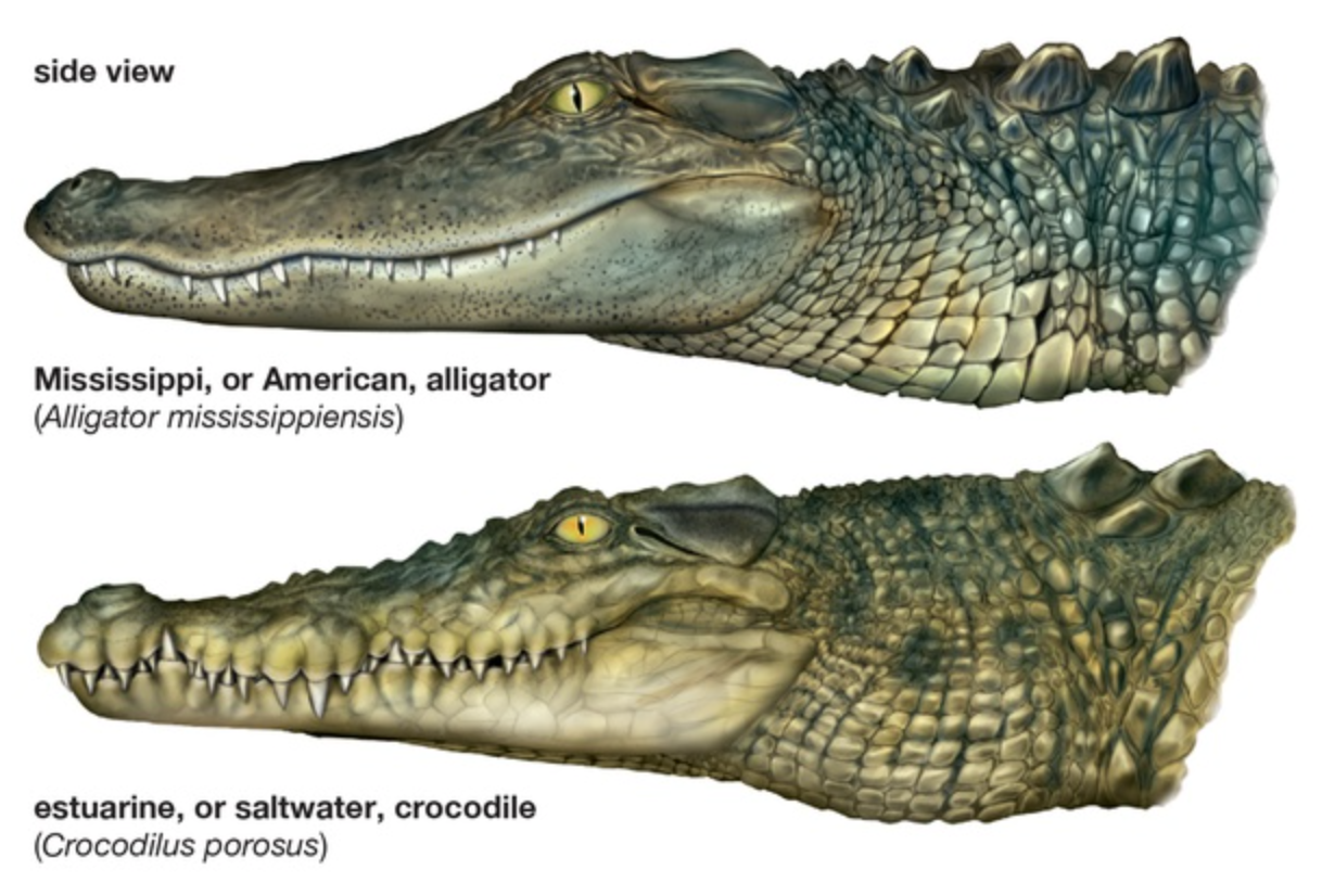 스크린샷 2020-12-02 오후 12.37.55.png