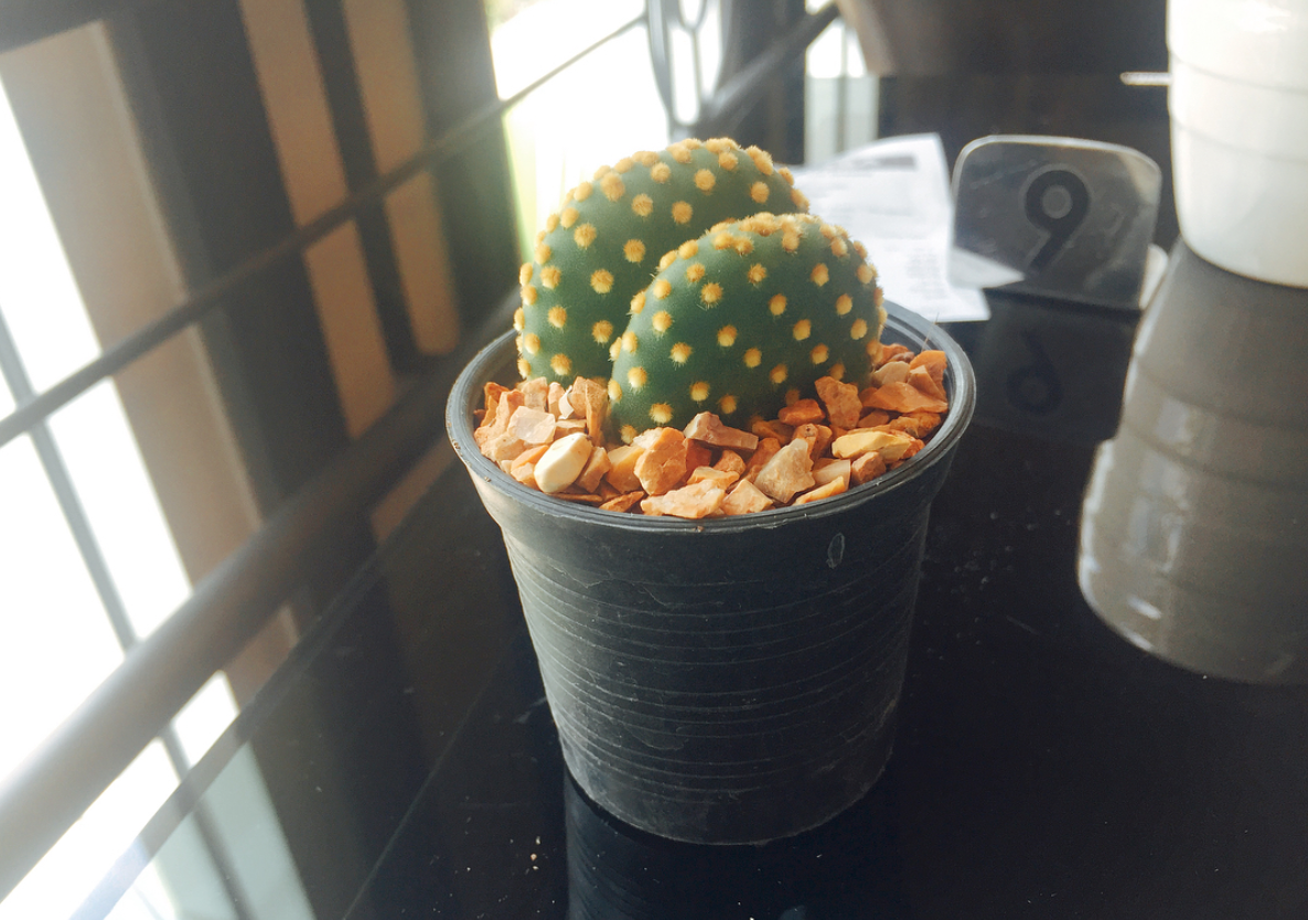 스크린샷 2018-01-11 오후 7.42.53.png