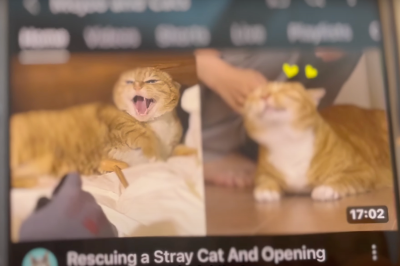 스크린샷 2025-07-03 오전 10.56.10.png