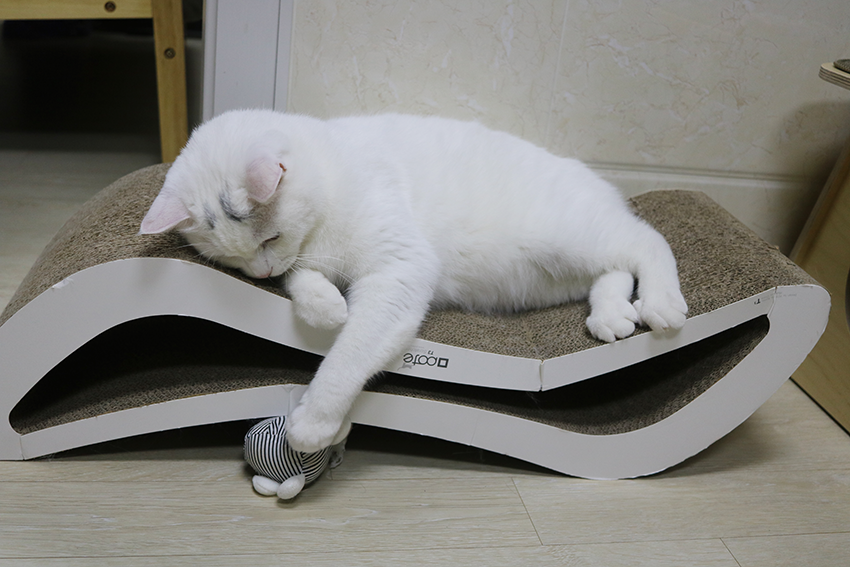 다운로드 (2).png