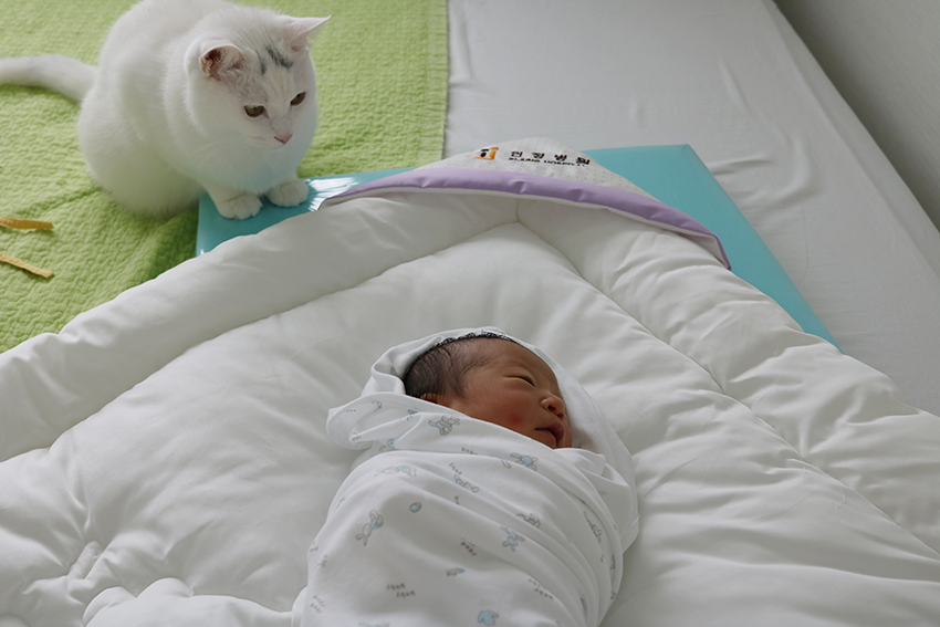 다운로드 (4).png