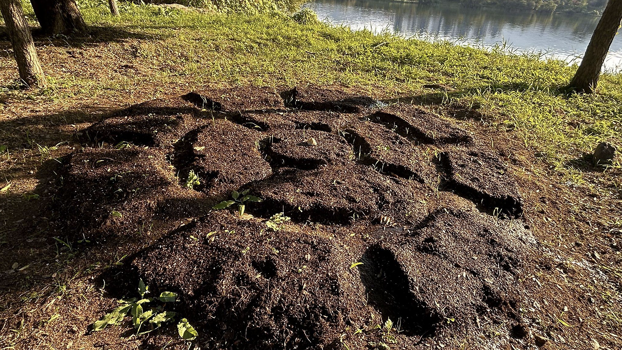 스크린샷 2025-12-14 014750.png