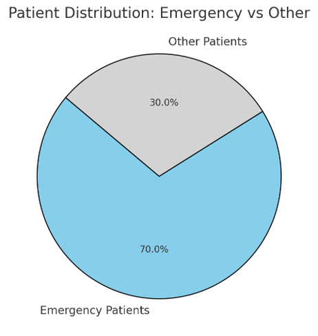 Chris Hani Baragwanath Hospital 7.png
