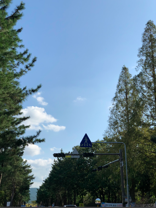 스크린샷 2020-10-02 오후 8.59.43.png