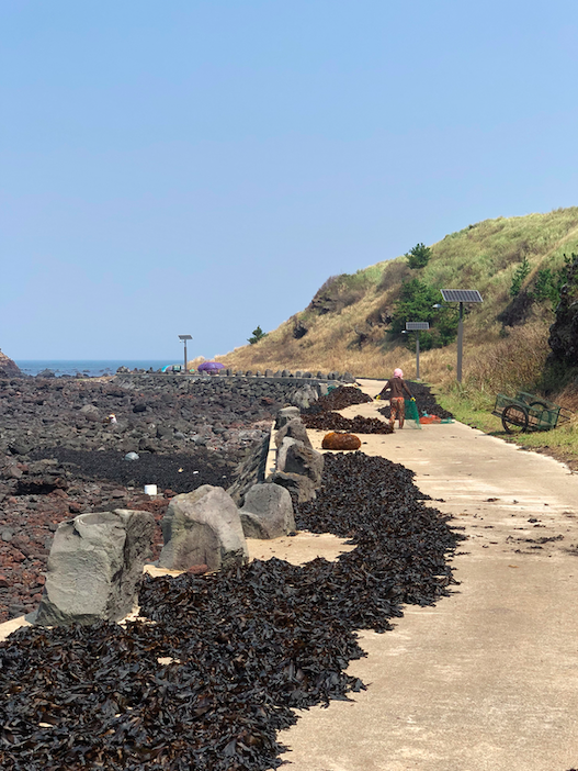 스크린샷 2020-09-08 오후 5.31.47.png