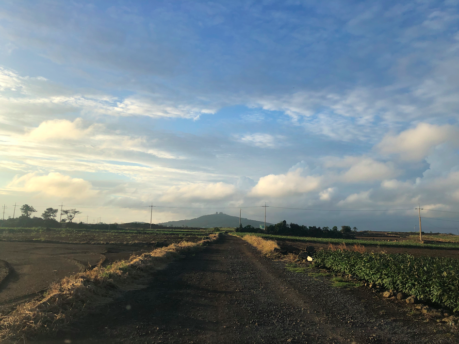 스크린샷 2020-08-29 오후 8.36.39.png