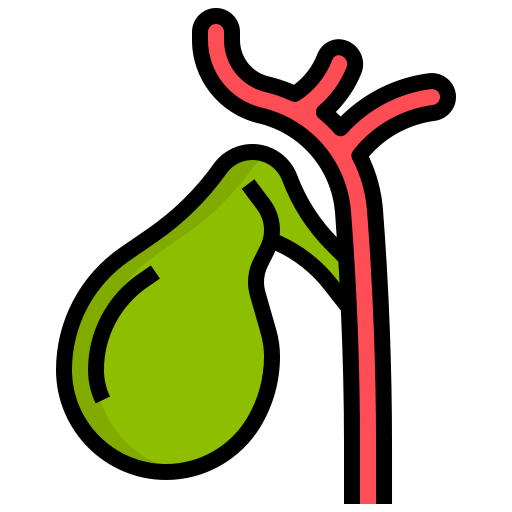 free-icon-gallbladder-7292470.png