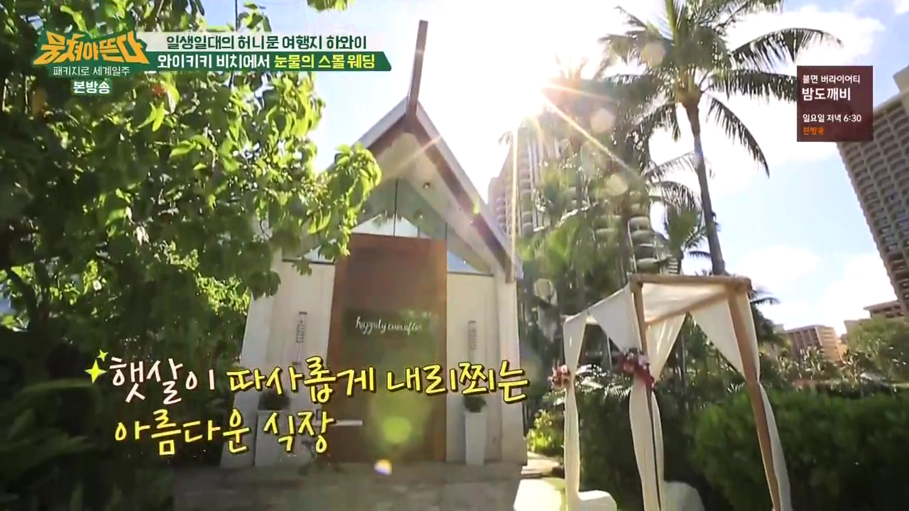 JTBC_뭉쳐야뜬다_하와이_라벨라_신혼여행_04_044스몰웨딩.png