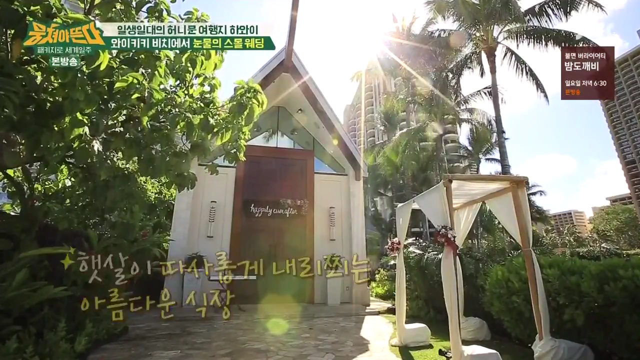 JTBC_뭉쳐야뜬다_하와이_라벨라_신혼여행_04_045스몰웨딩.png