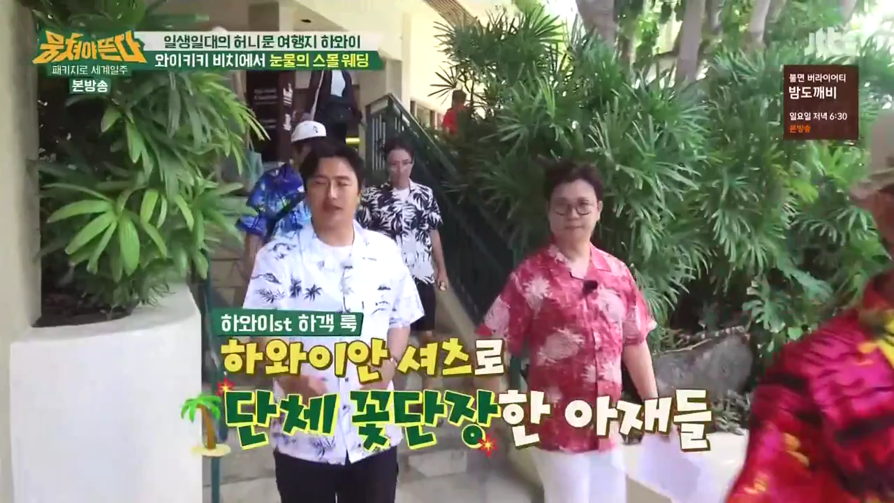 JTBC_뭉쳐야뜬다_하와이_라벨라_신혼여행_04_034스몰웨딩.png