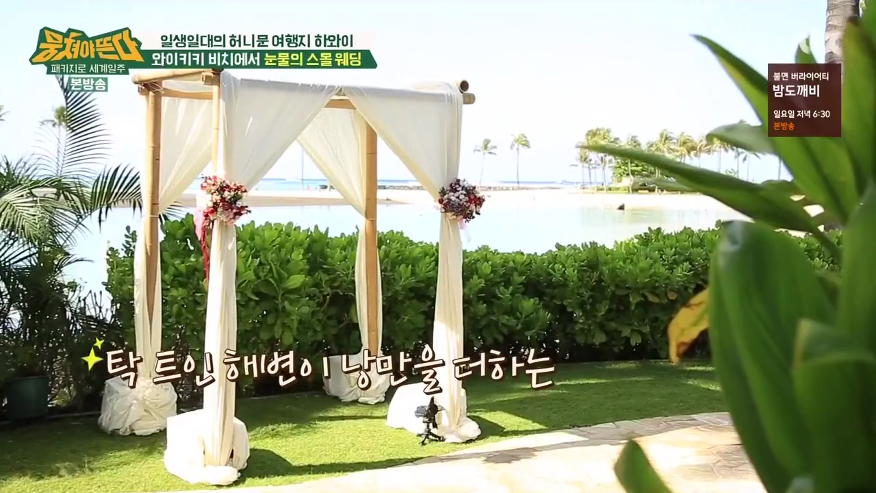JTBC_뭉쳐야뜬다_하와이_라벨라_신혼여행_04_046스몰웨딩.png