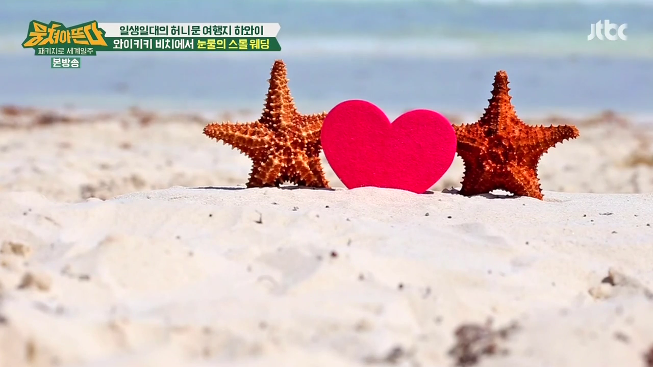 JTBC_뭉쳐야뜬다_하와이_라벨라_신혼여행_04_026스몰웨딩.png