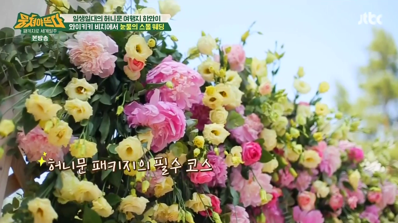 JTBC_뭉쳐야뜬다_하와이_라벨라_신혼여행_04_027스몰웨딩.png